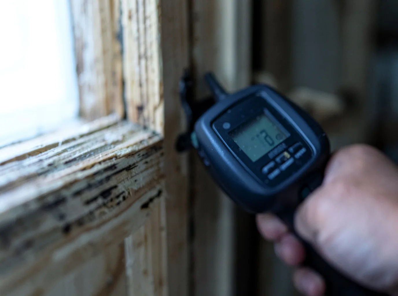 Water Damage Restoration Belding, MI FAQs